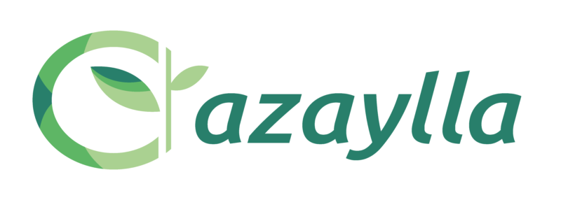 Logo Azaylla-01