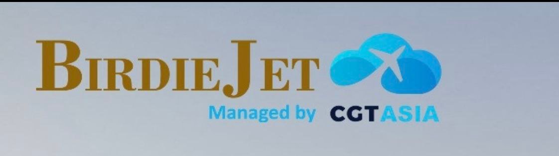 Logo Birdie Jet